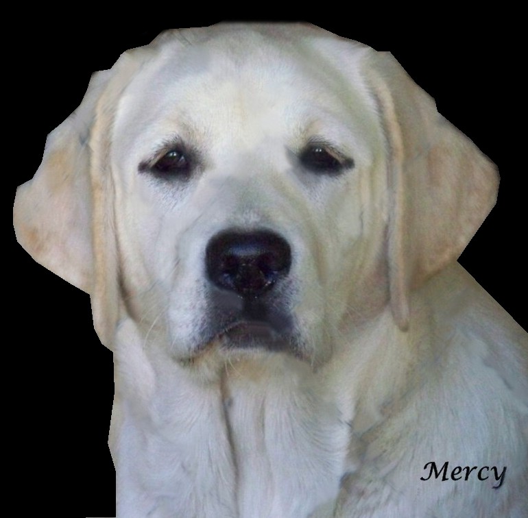 "Mercy"
