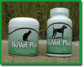 The best Dog Supplements to Protect Your Dogs, our Best Friend...